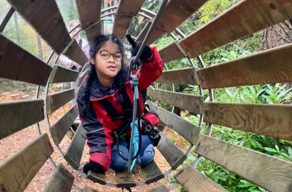 Treetops adventures