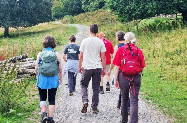 Wellness walk horizontal