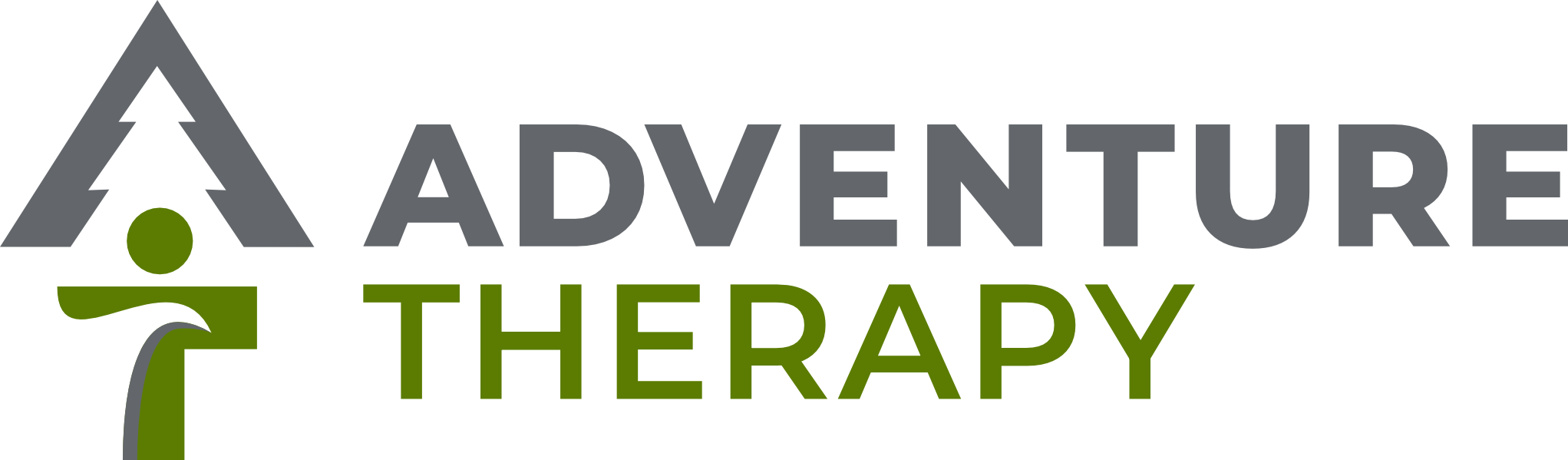 Adventure Therapy